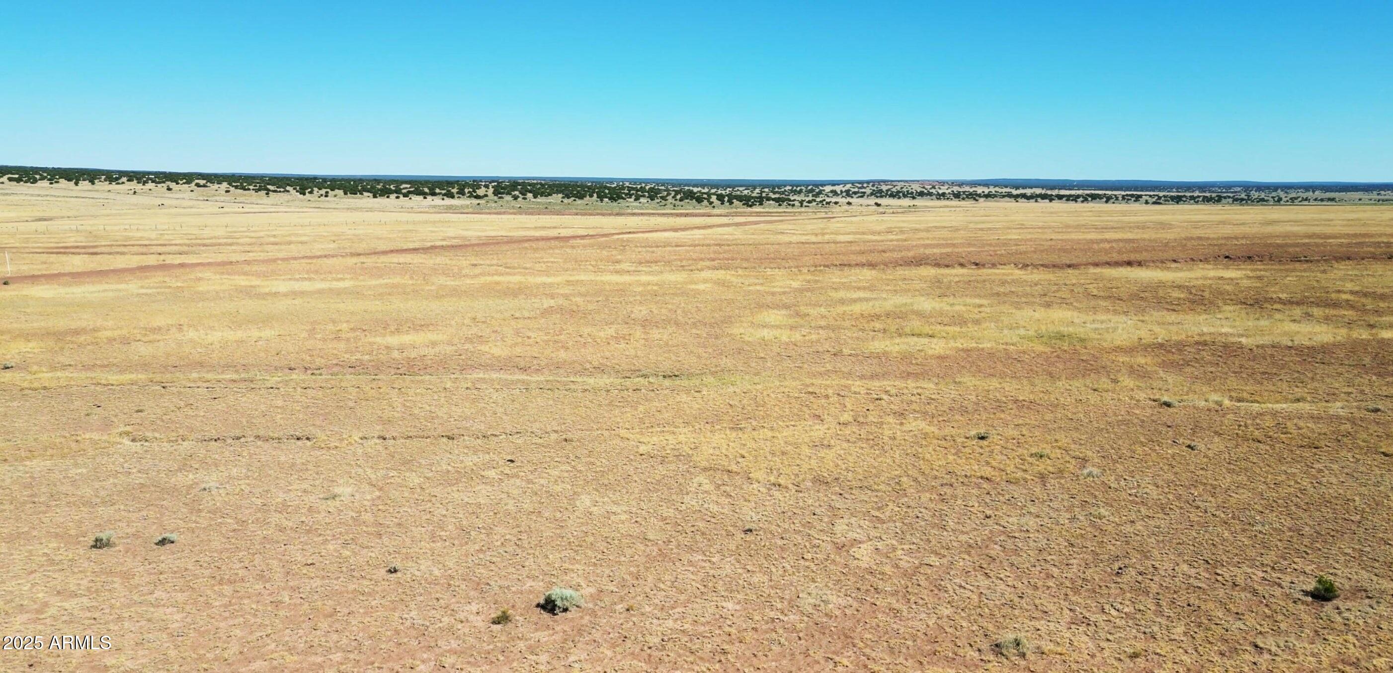 19 County Road St. Johns, AZ 85936 - Photo 8 of 9 19 County Rd N7150