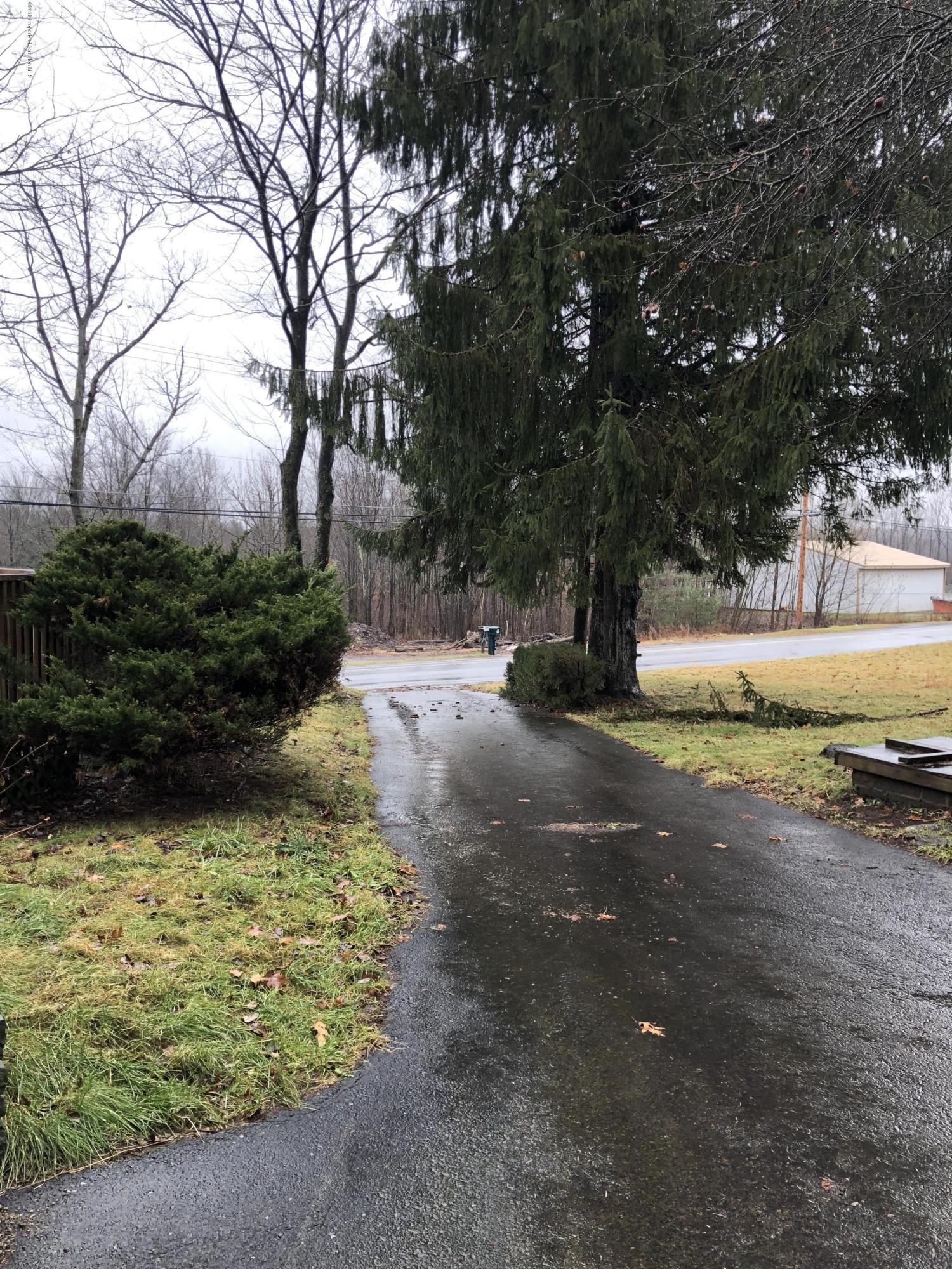 495 Cortez Road Lake Ariel, PA 18436 - Photo 26 of 39 a view of yard with tree in back