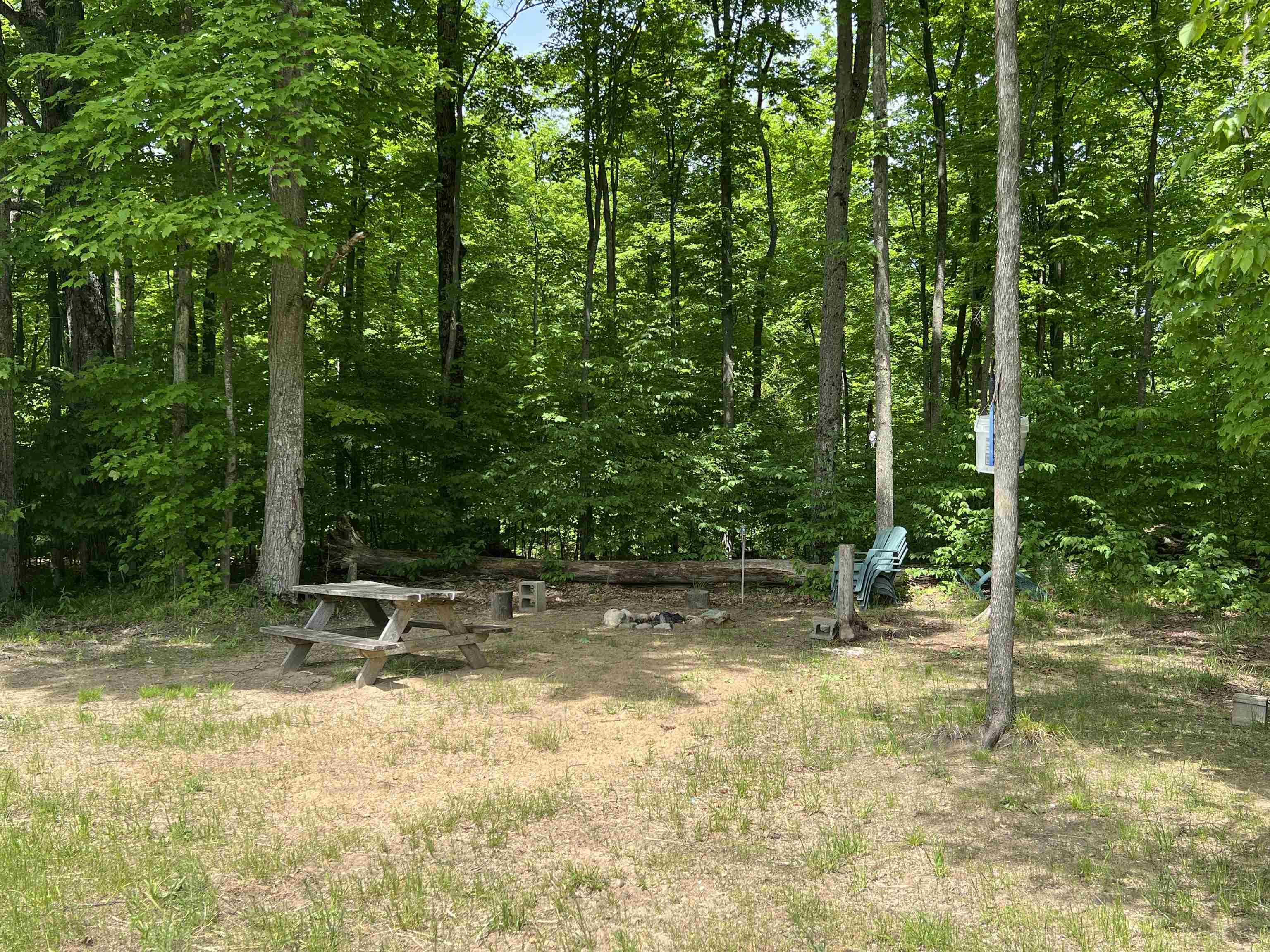 1120 Overhill Road Northwest Alden, MI 49612 - Photo 10 of 35 Gallery Image 10