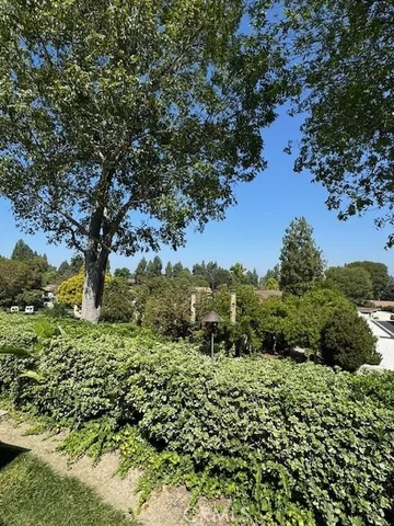 a view of a garden with a tree