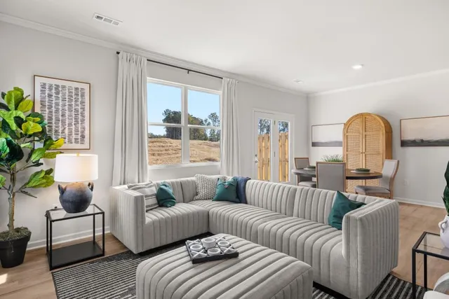 a living room with furniture and a potted plant