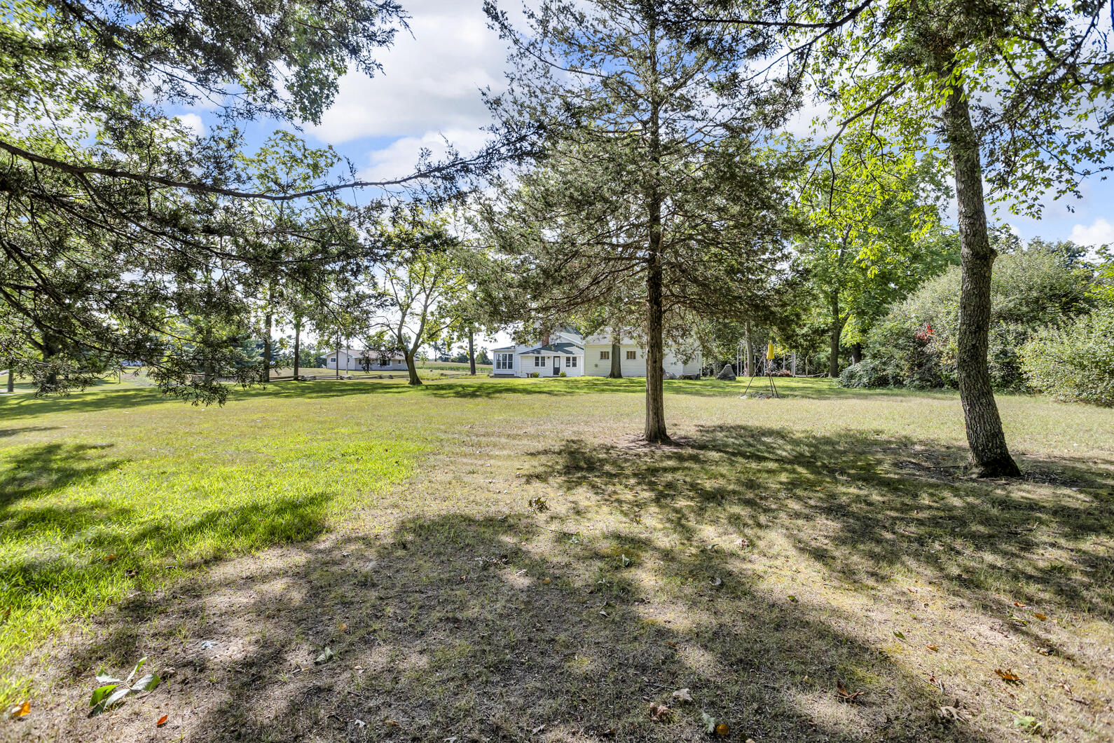 9538 Peterson Road Clarklake, MI 49234 - Photo 63 of 76 0N0A6002