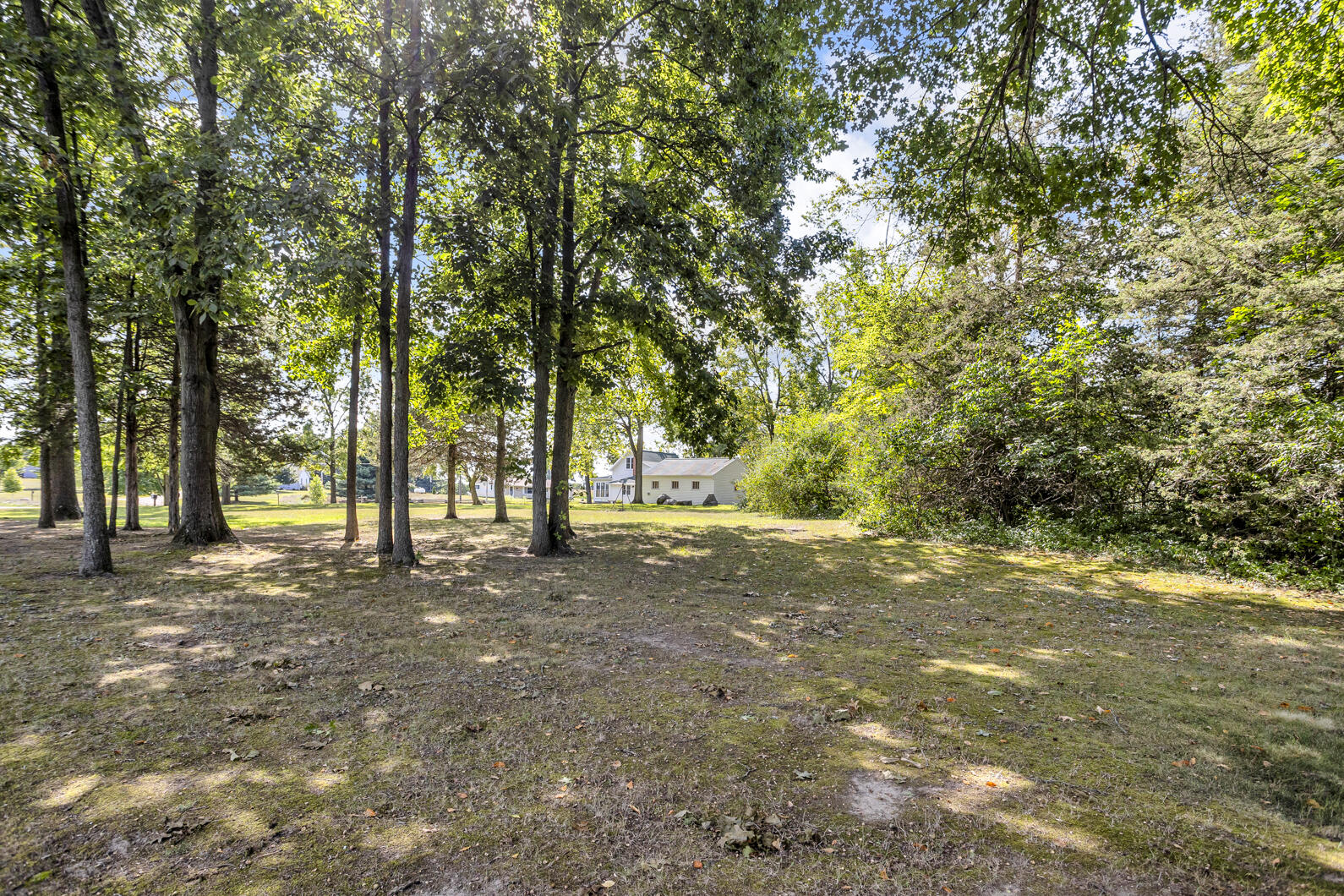 9538 Peterson Road Clarklake, MI 49234 - Photo 65 of 76 0N0A6006