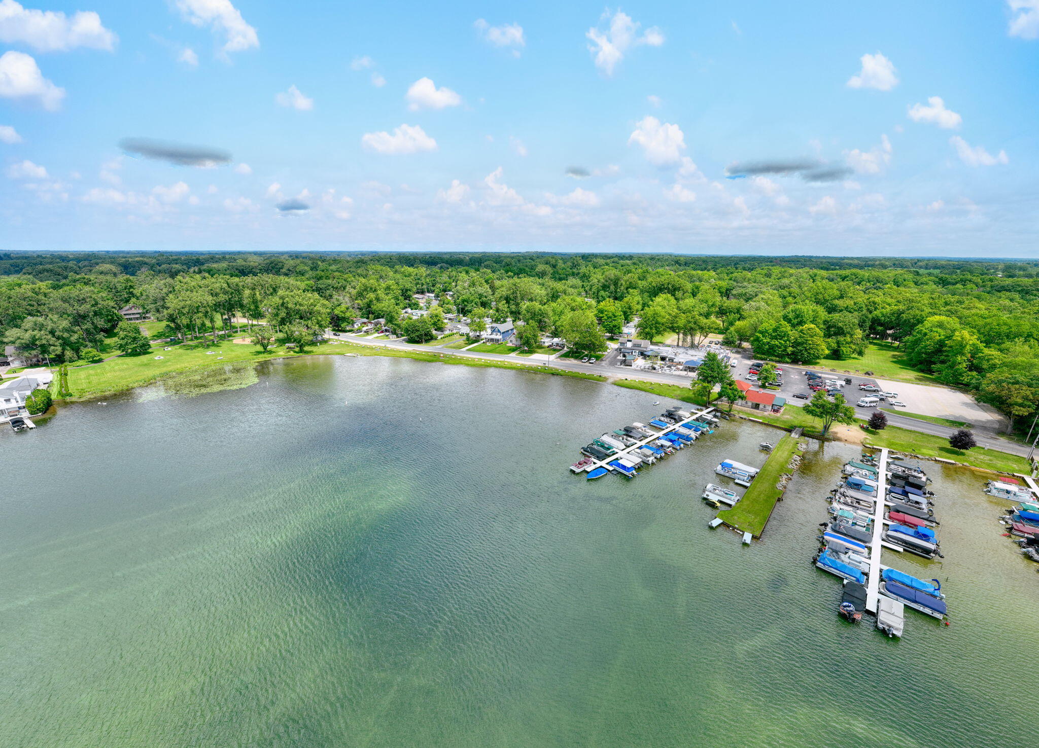 9538 Peterson Road Clarklake, MI 49234 - Photo 75 of 76 34-web-or-mls-DJI_0939 (1)