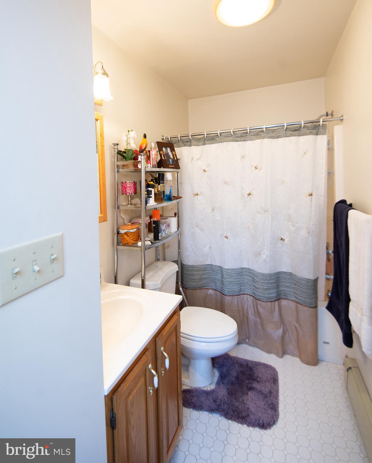 6010 Todds Point Road Cambridge, MD 21613 - Photo 35 of 52 a bathroom with a sink toilet and shower