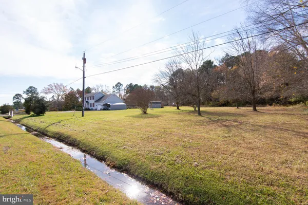 a view of yard with tree