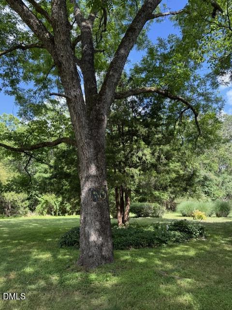 3415 Mt Willing Road Efland, NC 27243 - Photo 26 of 36 a view of a trees in a yard
