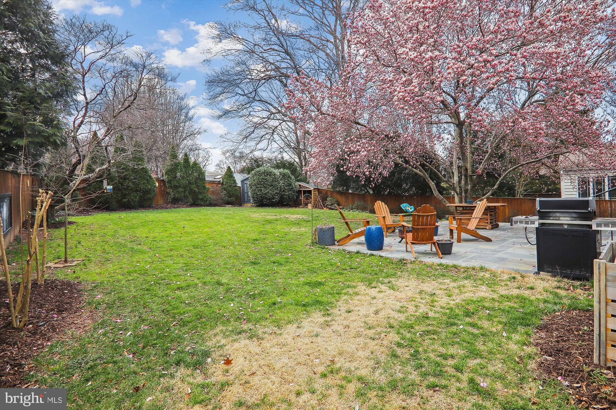 4514 Saul Road Kensington, MD 20895 - Photo 31 of 40 Big Back Yard