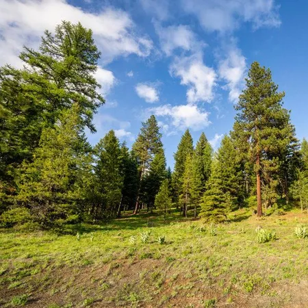 $500,000 | Lot 17 To Be Determined, Unit 17, McCall, ID 83638