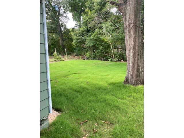 1647 Merker Road Memphis, TN 38108 - Photo 10 of 11 a view of a yard in front of a house