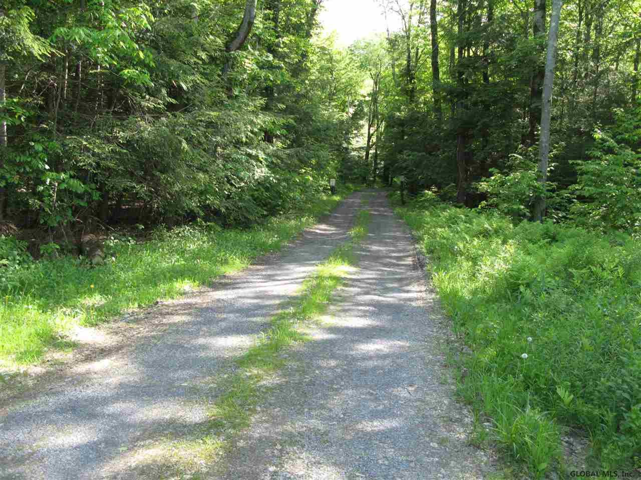 150 Jakadida Lane Decatur, NY 12197 - Photo 2 of 75 Photo 2