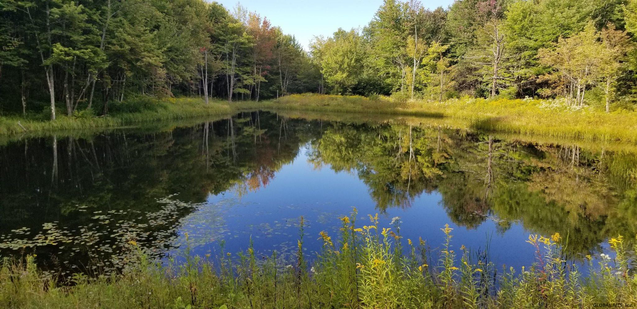 150 Jakadida Lane Decatur, NY 12197 - Photo 46 of 75 Photo 50