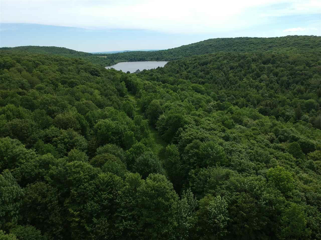 150 Jakadida Lane Decatur, NY 12197 - Photo 54 of 75 Photo 58