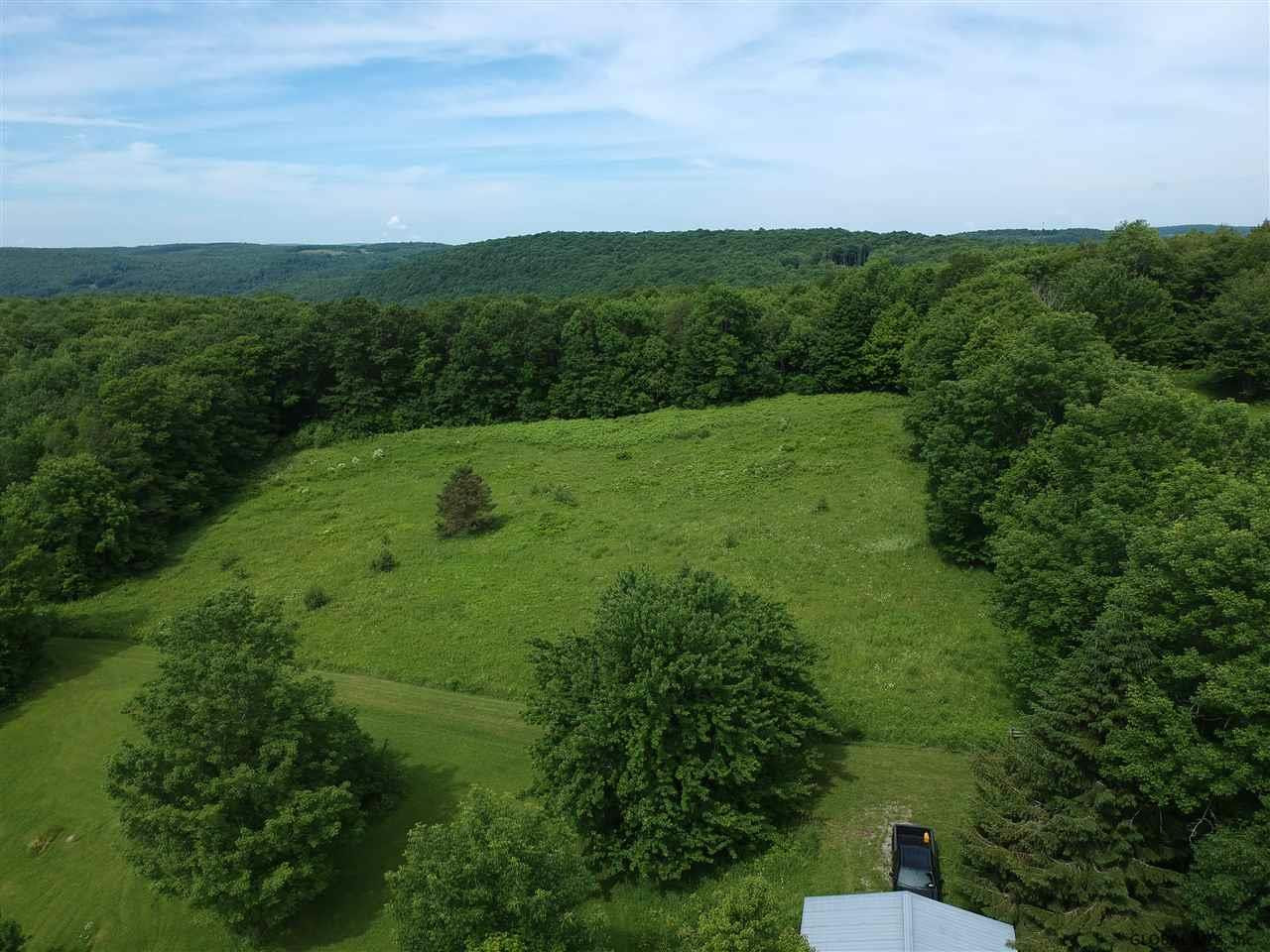150 Jakadida Lane Decatur, NY 12197 - Photo 56 of 75 Photo 60