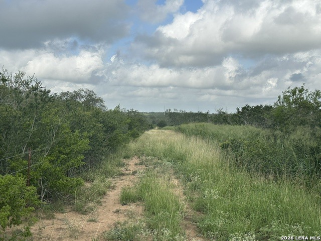 Tbd Leal Road Pleasanton, TX 78064 - Photo 4 of 14
