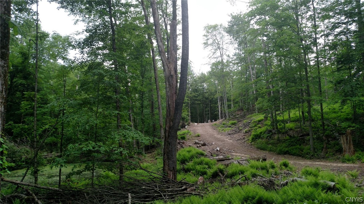 2 Tamblin Ridge Trail Bernhards Bay, NY 13028 - Photo 10 of 12