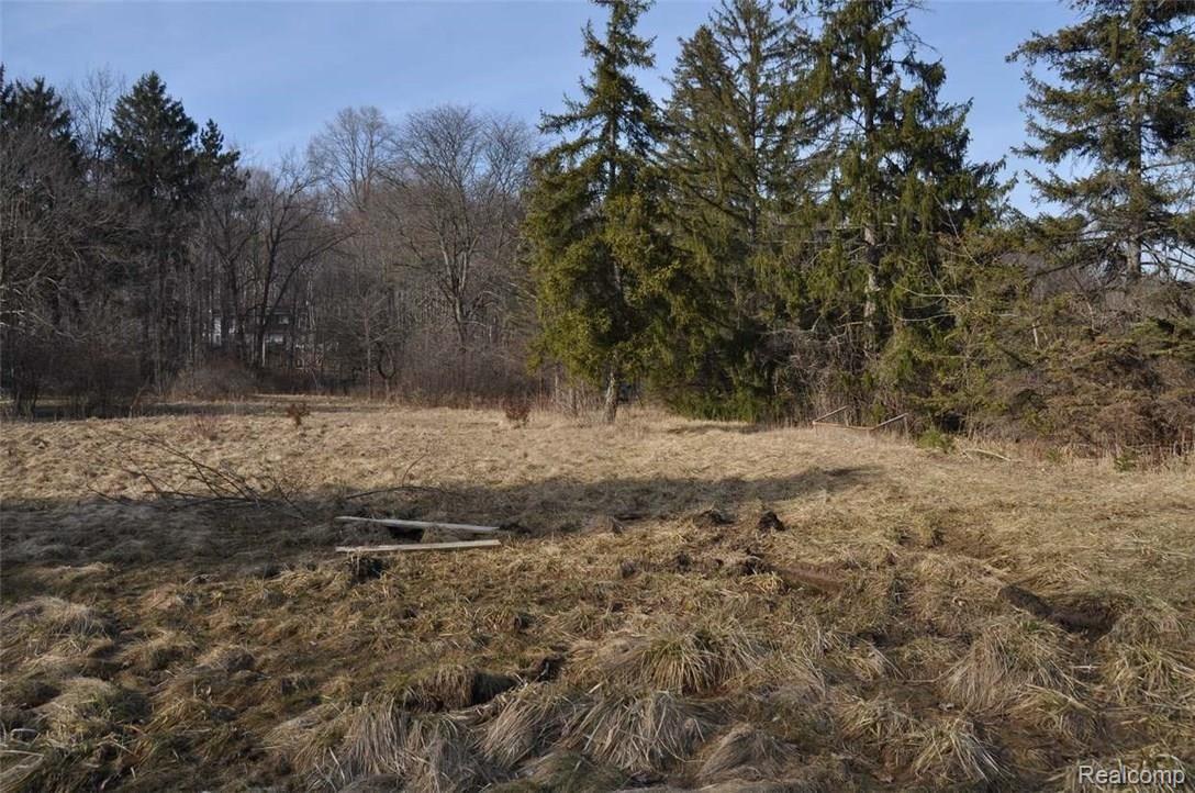 36391 Howard Road Farmington, MI 48331 - Photo 15 of 17 14.jpg