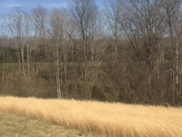 9999 Independence Ridge Road Breeding, KY 42715 - Photo 13 of 16 Gallery Image 13