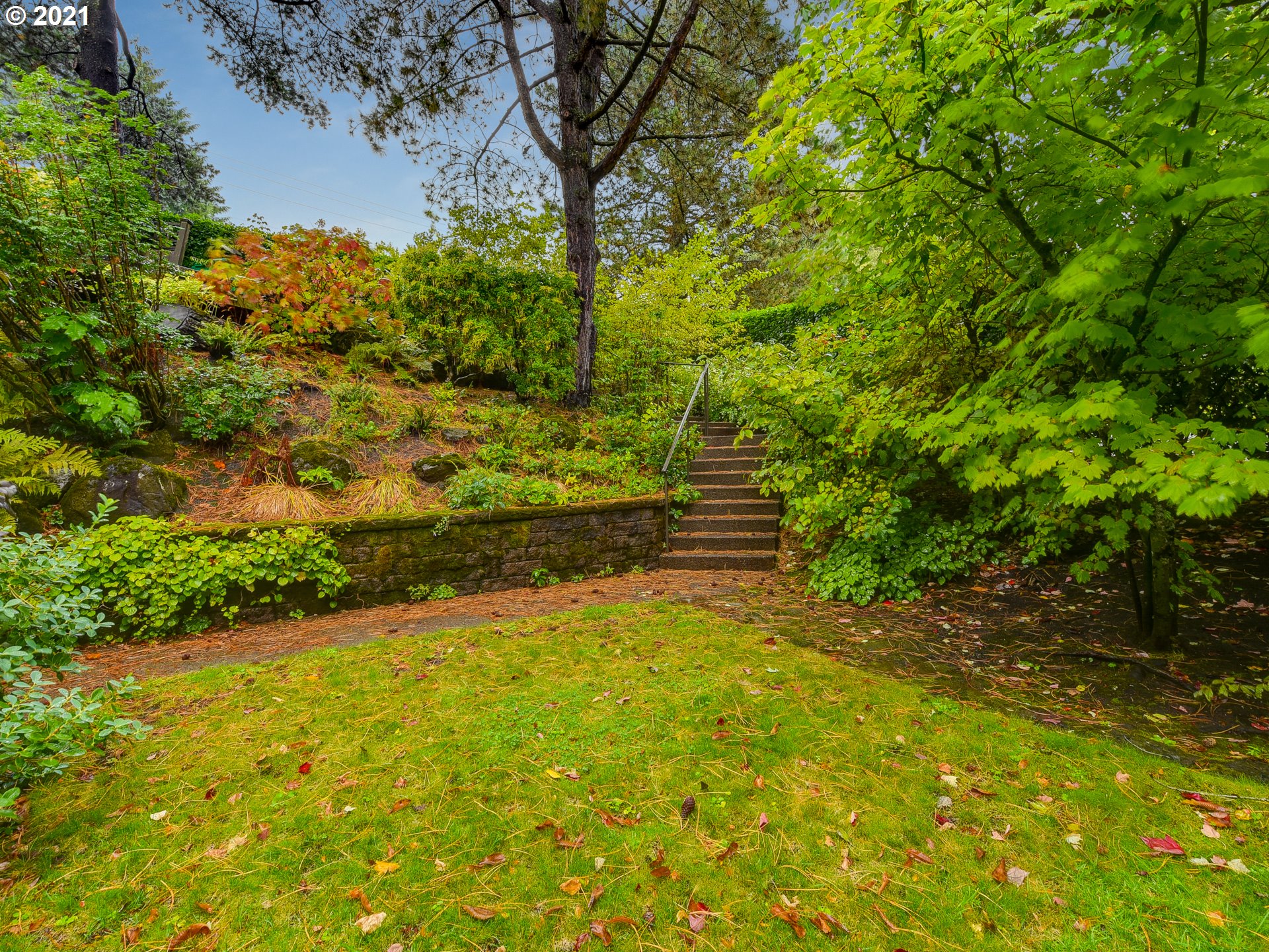 3630 Southwest Patton Road Portland, OR 97221 - Photo 29 of 29 a view of yard with green space