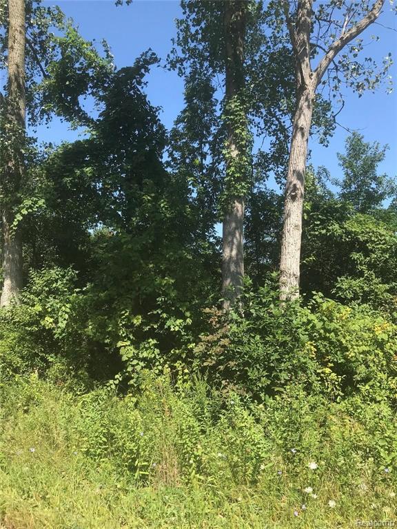 0 West Frances Road Montrose, MI 48457 - Photo 1 of 4