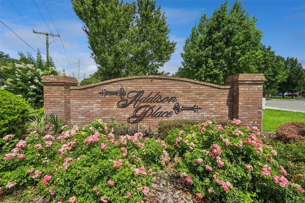 2243 Wolf Ridge Lane Mount Dora, FL 32757 - Photo 51 of 57