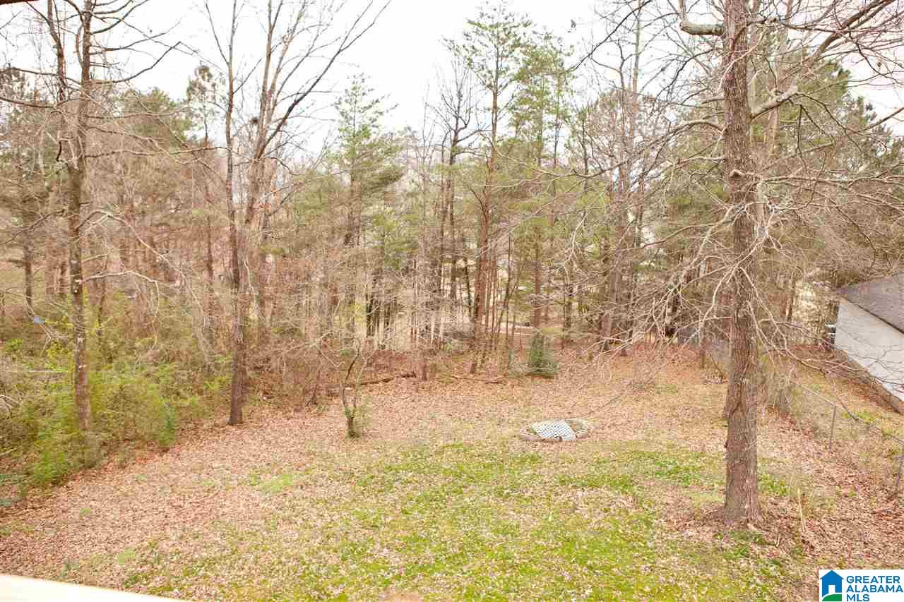 5925 Dewey Heights Road Pinson, AL 35126 - Photo 4 of 29