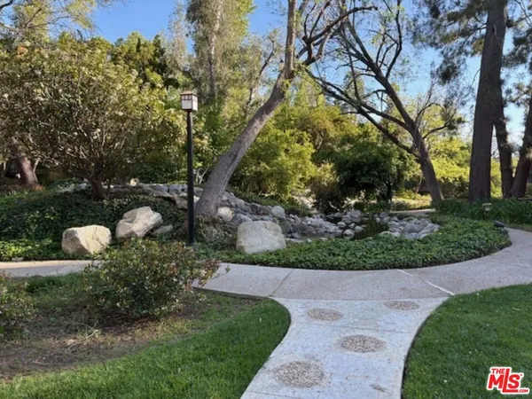 a view of a park with large trees