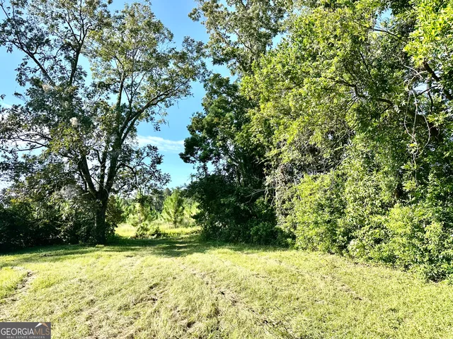 a view of a yard with large trees