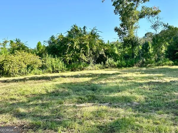 a view of a green yard with large trees