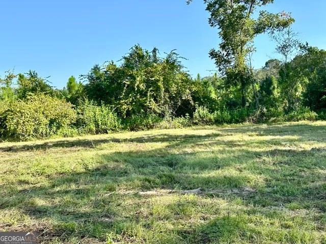 a view of a green yard with large trees