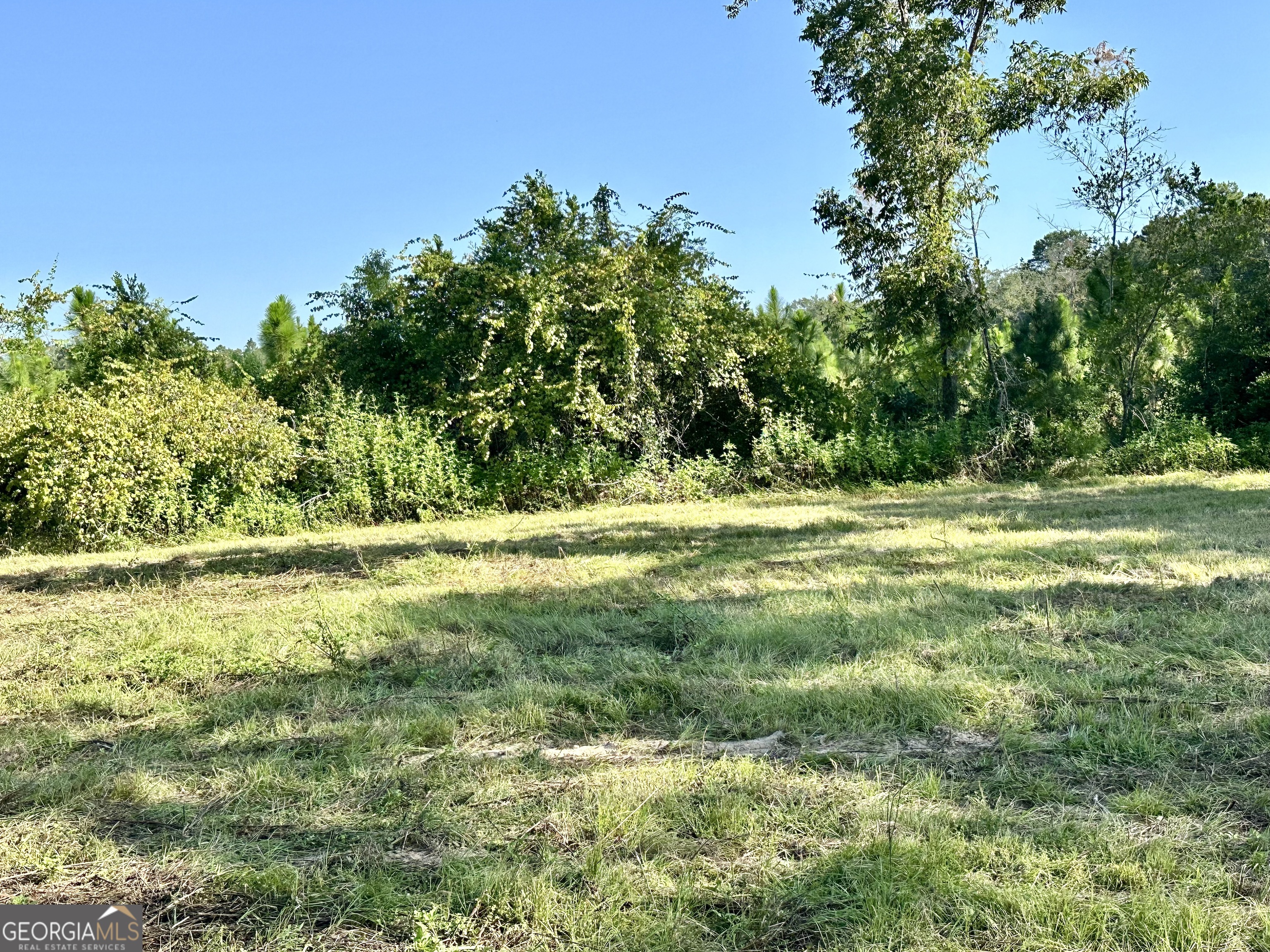 3344 Strickland Avenue Blackshear, GA 31516 - Photo 3 of 17 a view of a green yard with large trees