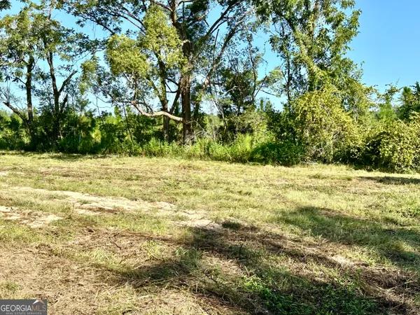 a view of a yard with a house