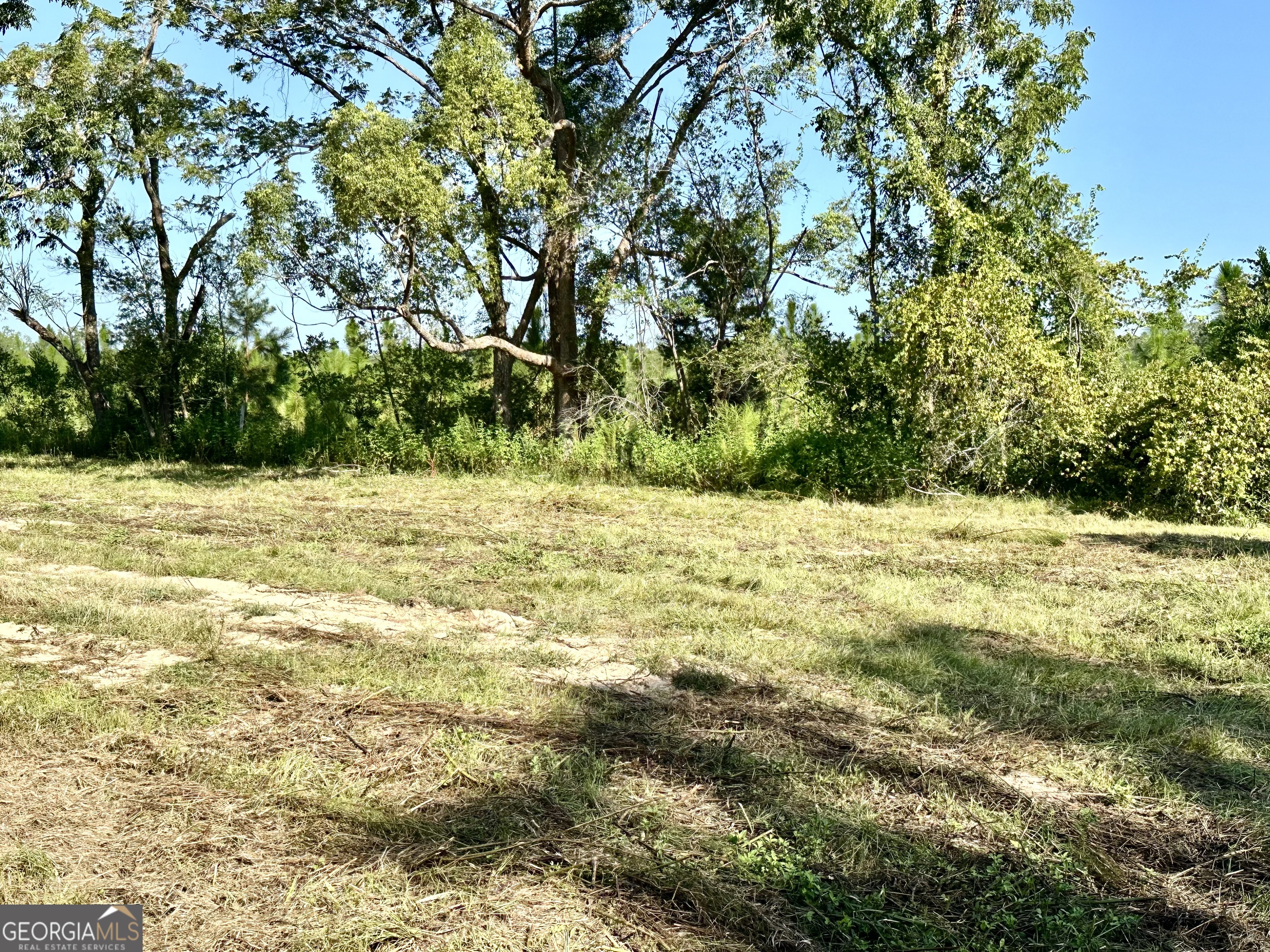 3344 Strickland Avenue Blackshear, GA 31516 - Photo 10 of 17 a view of a yard with a house