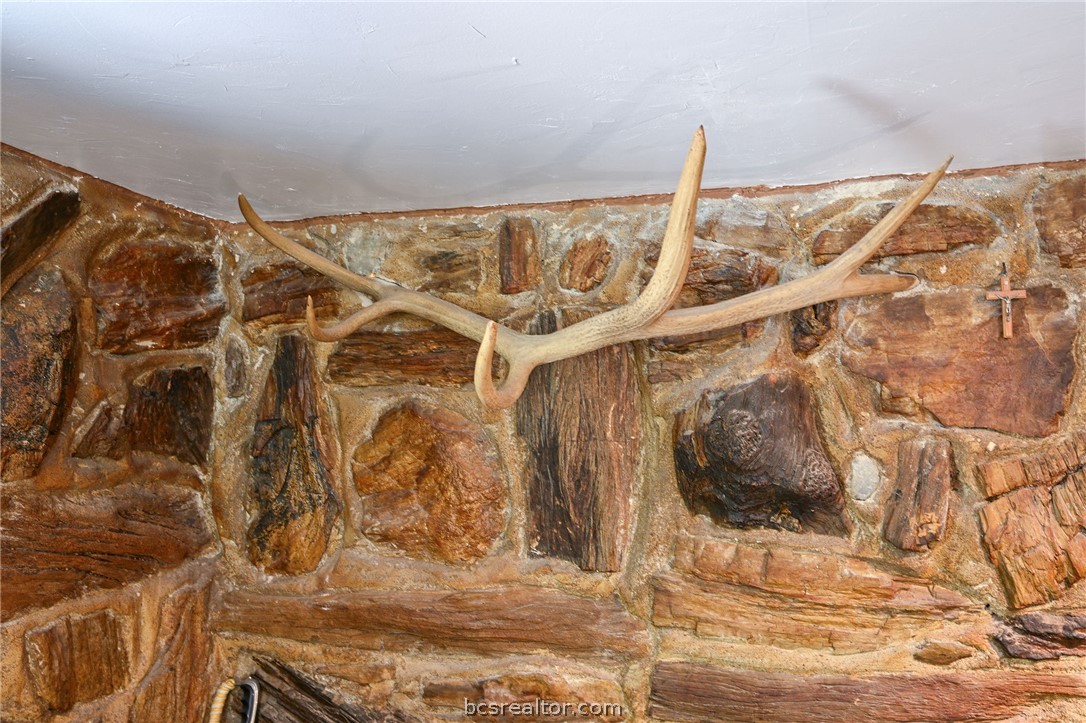6422 Minter Spring Road College Station, TX 77845 - Photo 8 of 40 Elk horn hat rack built into the petrified wood masonry wall
