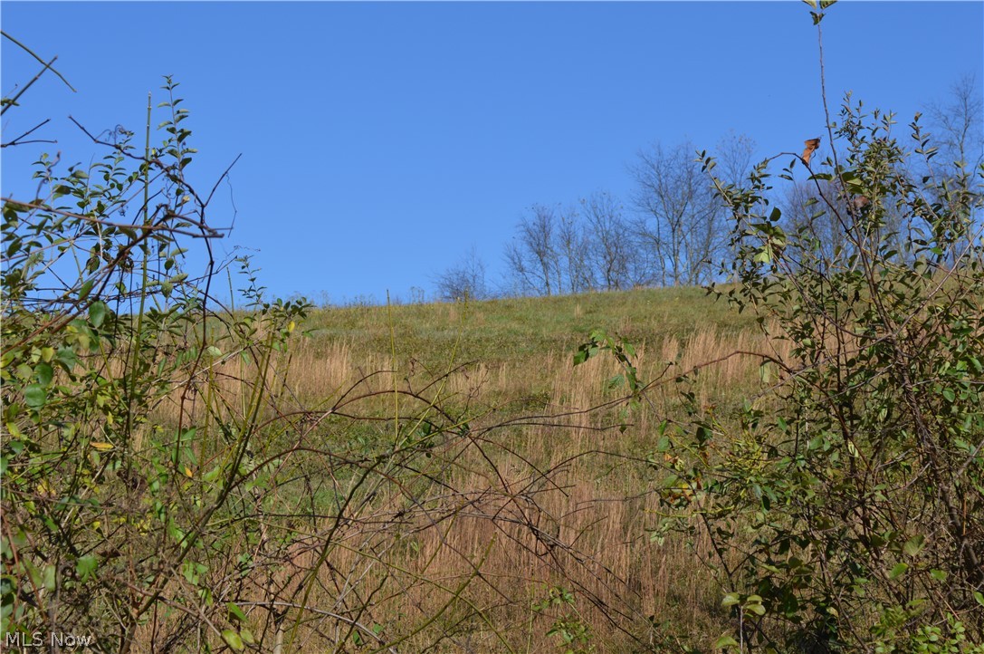 Allen Run Road Sistersville, WV 26175 - Photo 4 of 8