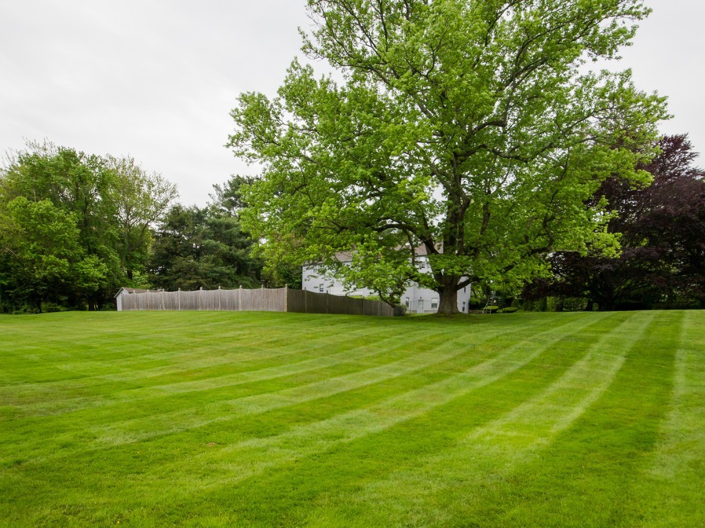 1140 Webster Street Needham, MA 02492 - Photo 10 of 12