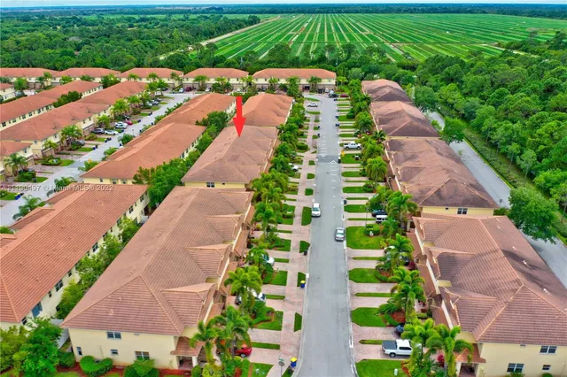 a view of a garden with plants