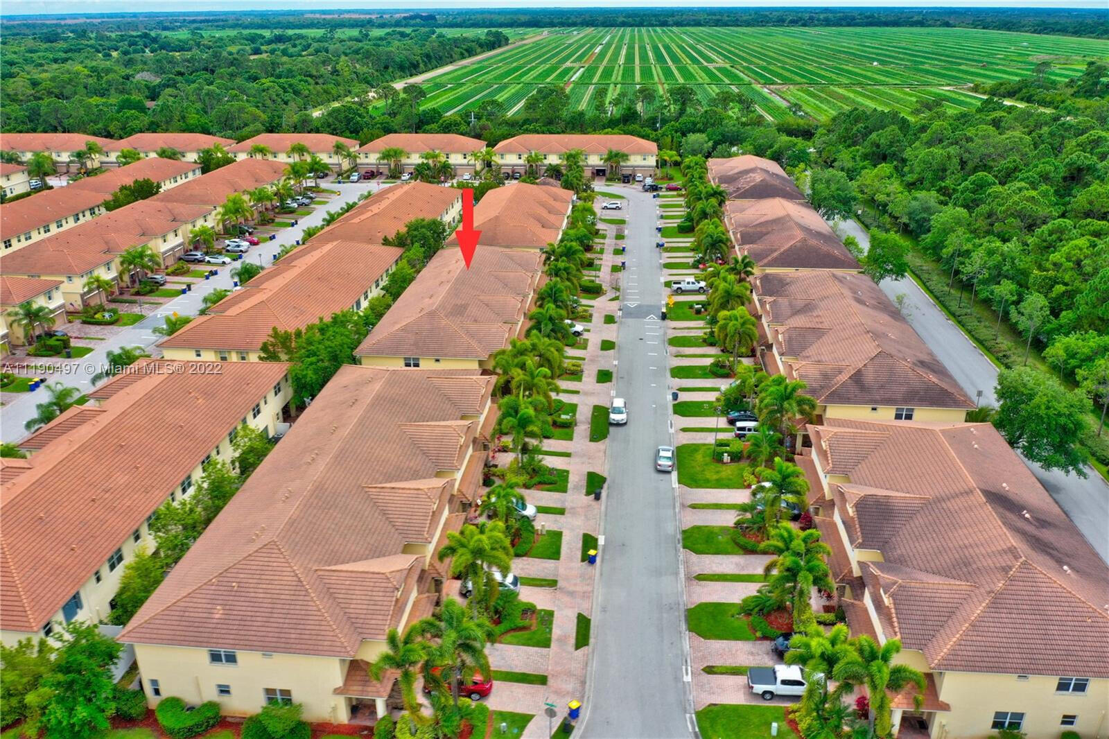9469 Southwest Purple Martin Way Stuart, FL 34997 - Photo 2 of 21 a view of a garden with plants