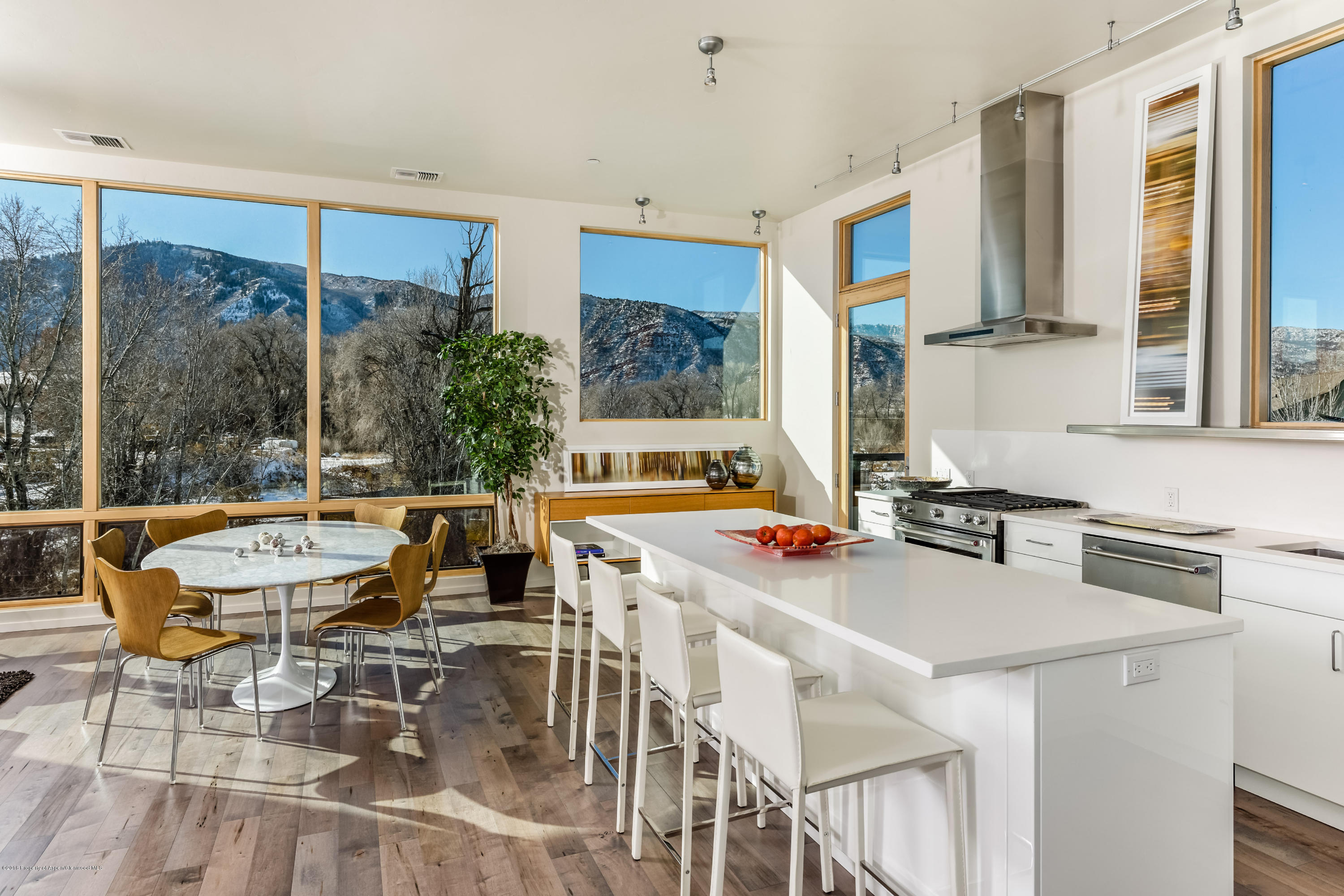104 Evans Road, Unit 103 Basalt, CO 81621 - Photo 11 of 25 201ParkModern_HiRes005