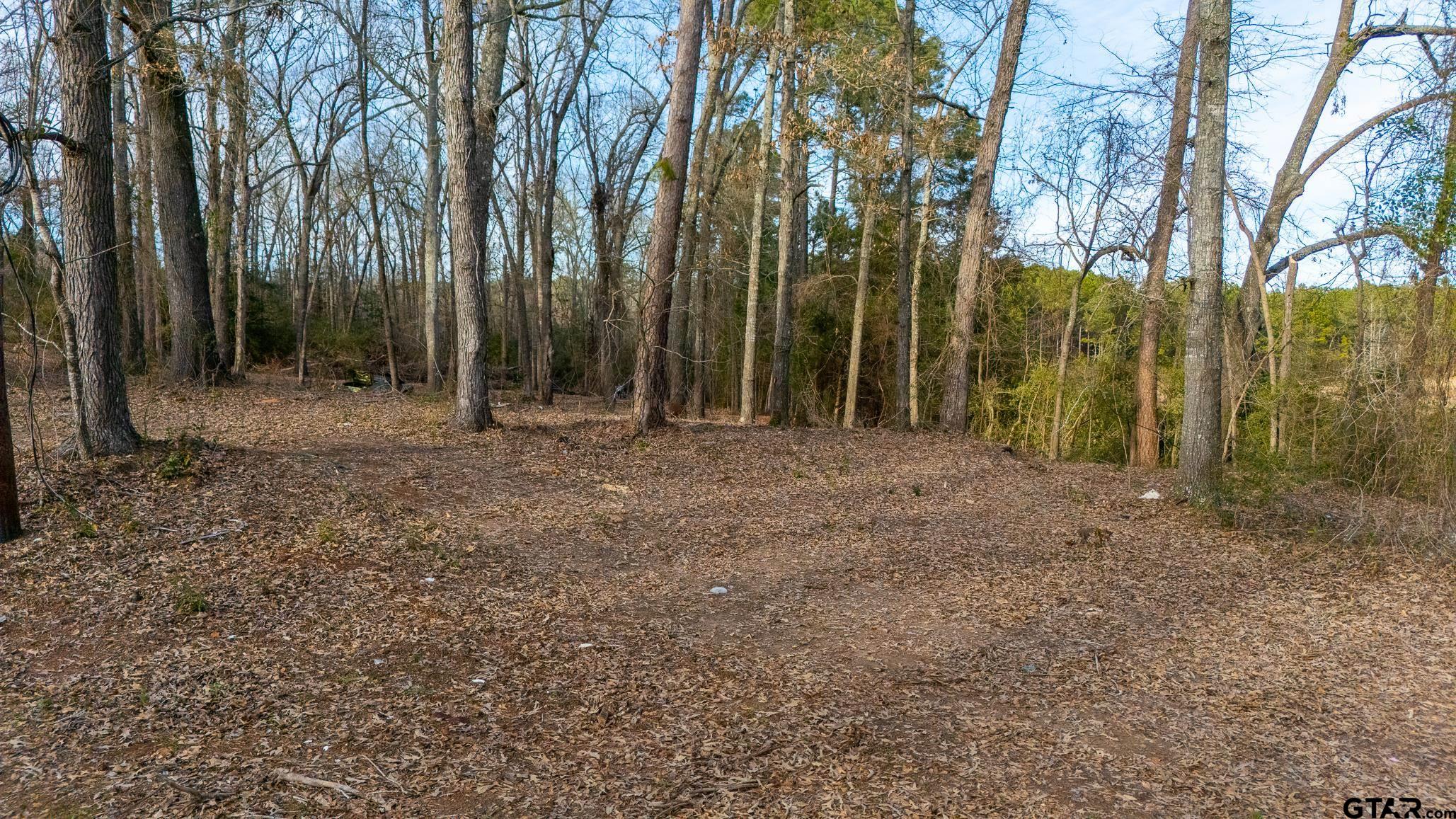 1044 Red Cedar Road Big Sandy, TX 75755 - Photo 15 of 22 Gallery Image 15