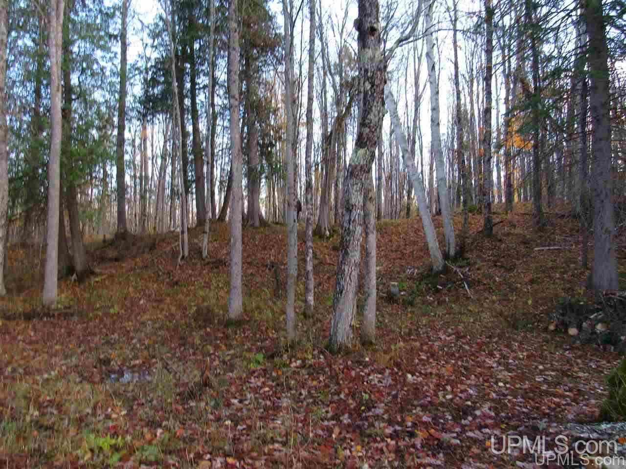 Lot 1 Sicotte Road Skanee, MI 49962 - Photo 21 of 23