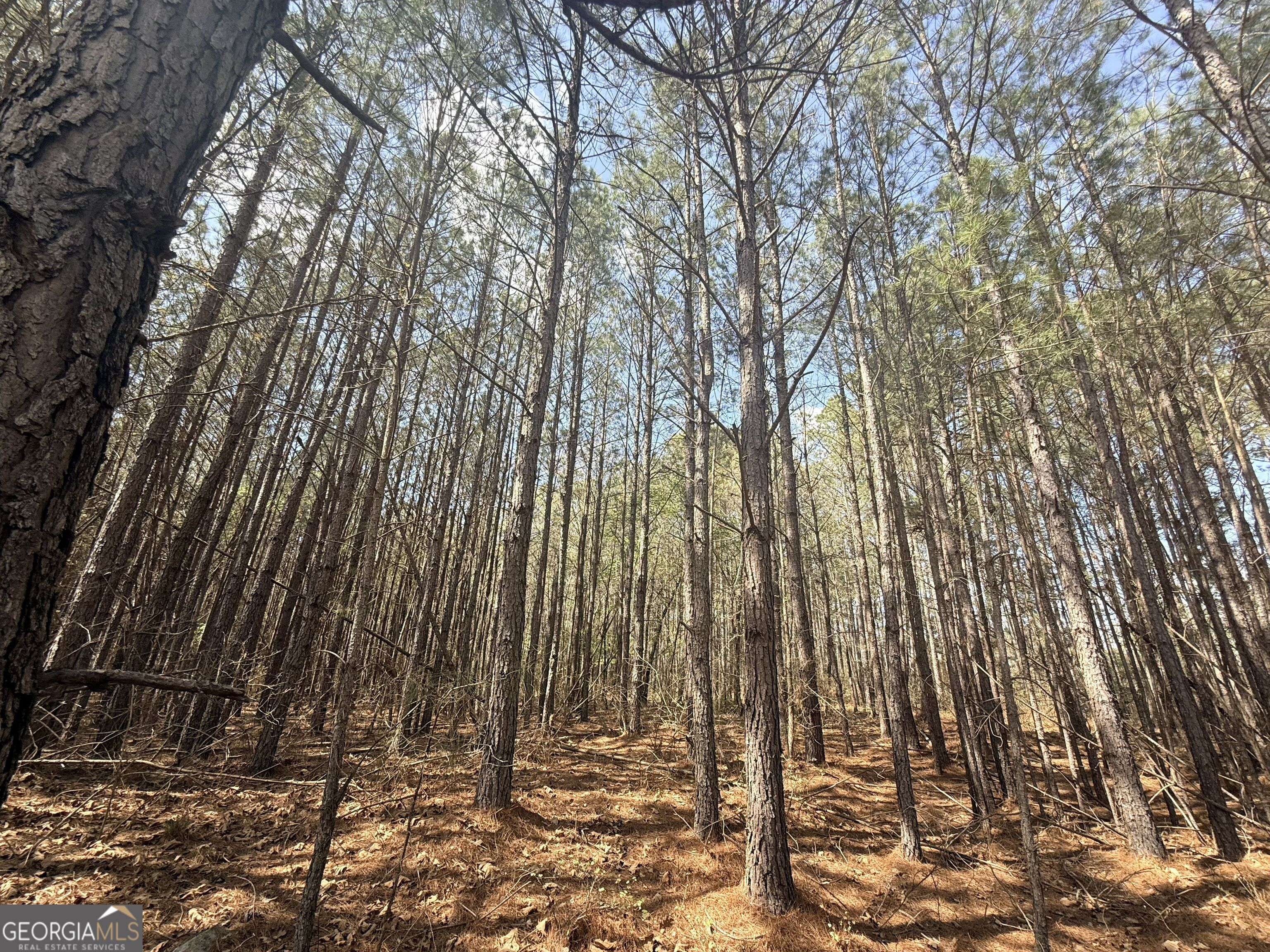 15 Hollis Norman Road Tignall, GA 30668 - Photo 11 of 23