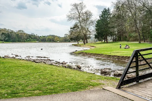 a view of a park with large trees