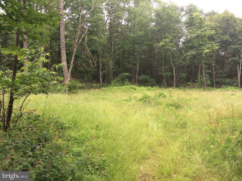108 Board Run Road Newport, PA 17074 - Photo 4 of 9 Gallery Image 4