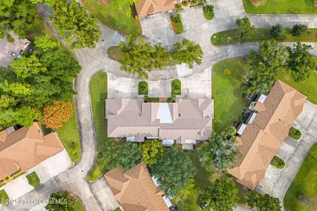 a view of a backyard with plants and a garden