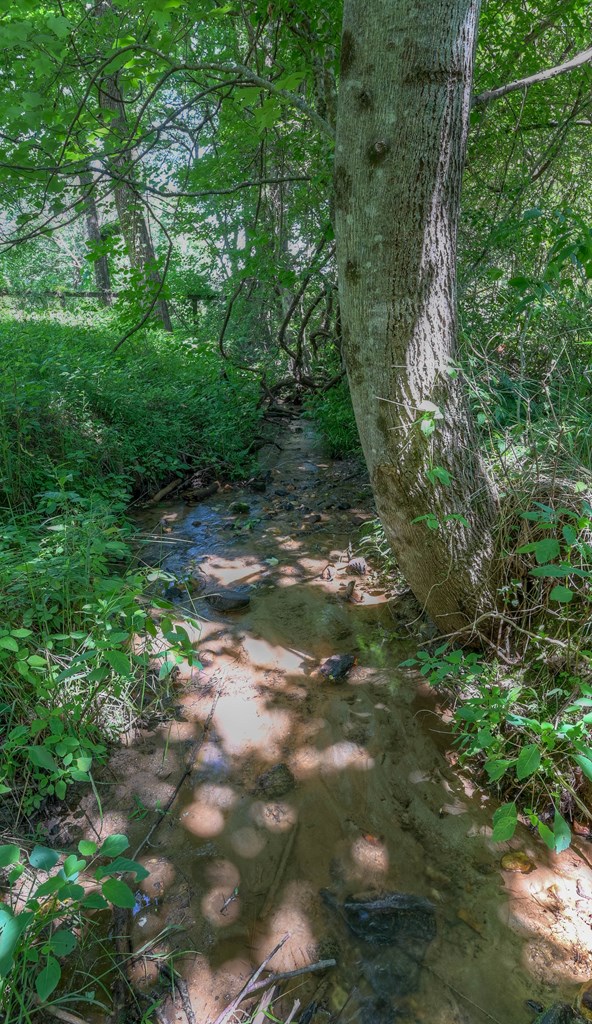 0 Crowe Road Murphy, NC 28906 - Photo 15 of 52 Gallery Image 15
