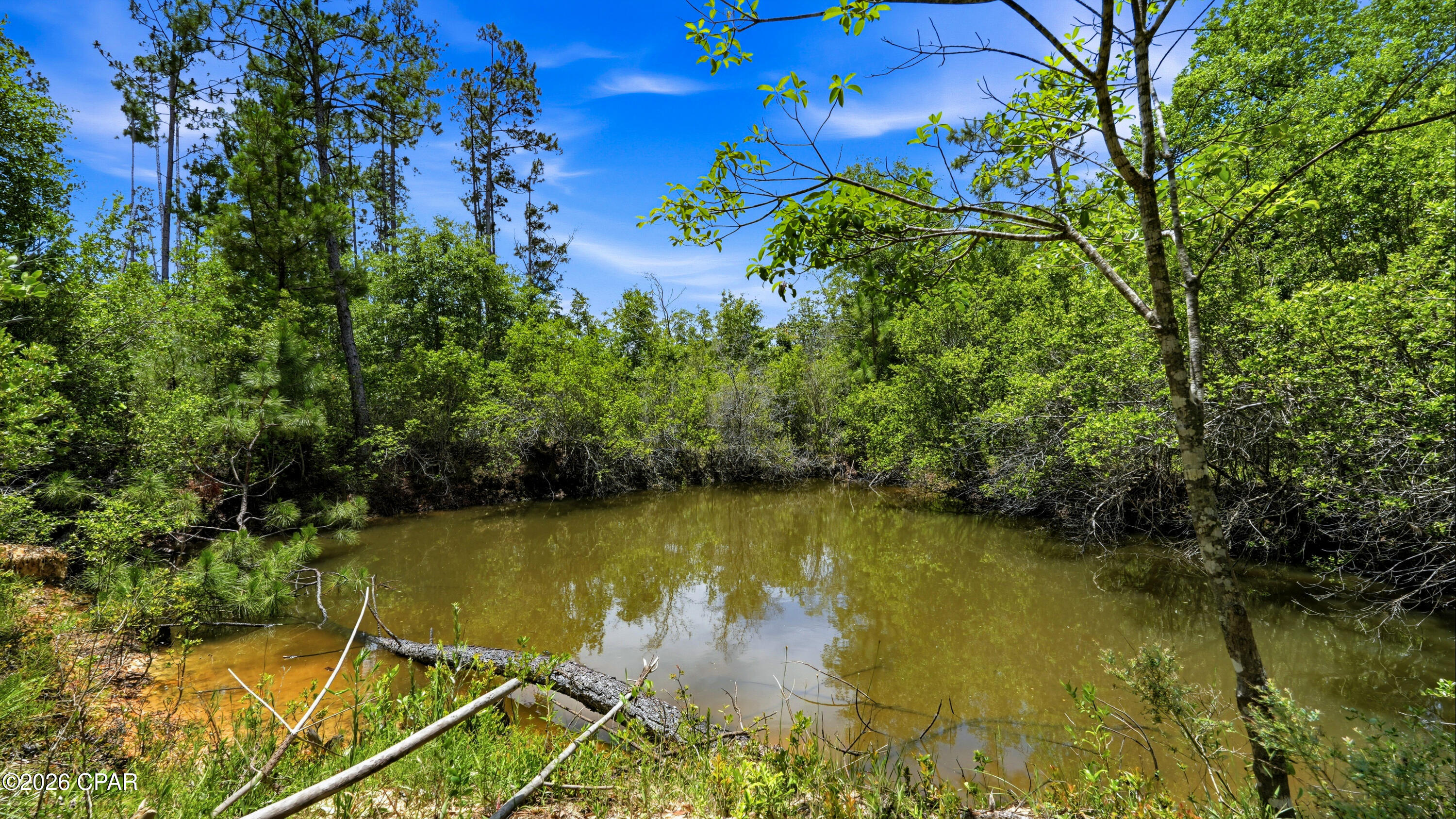 705 Cornwell Road Alford, FL 32420 - Photo 73 of 89