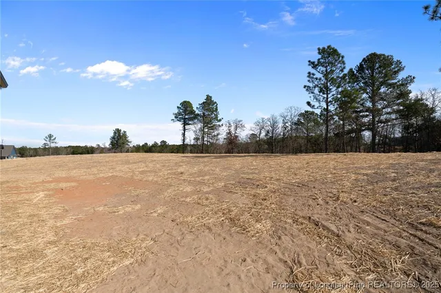 $407,650 | 61 Mahogany Court, Cameron, NC 28326