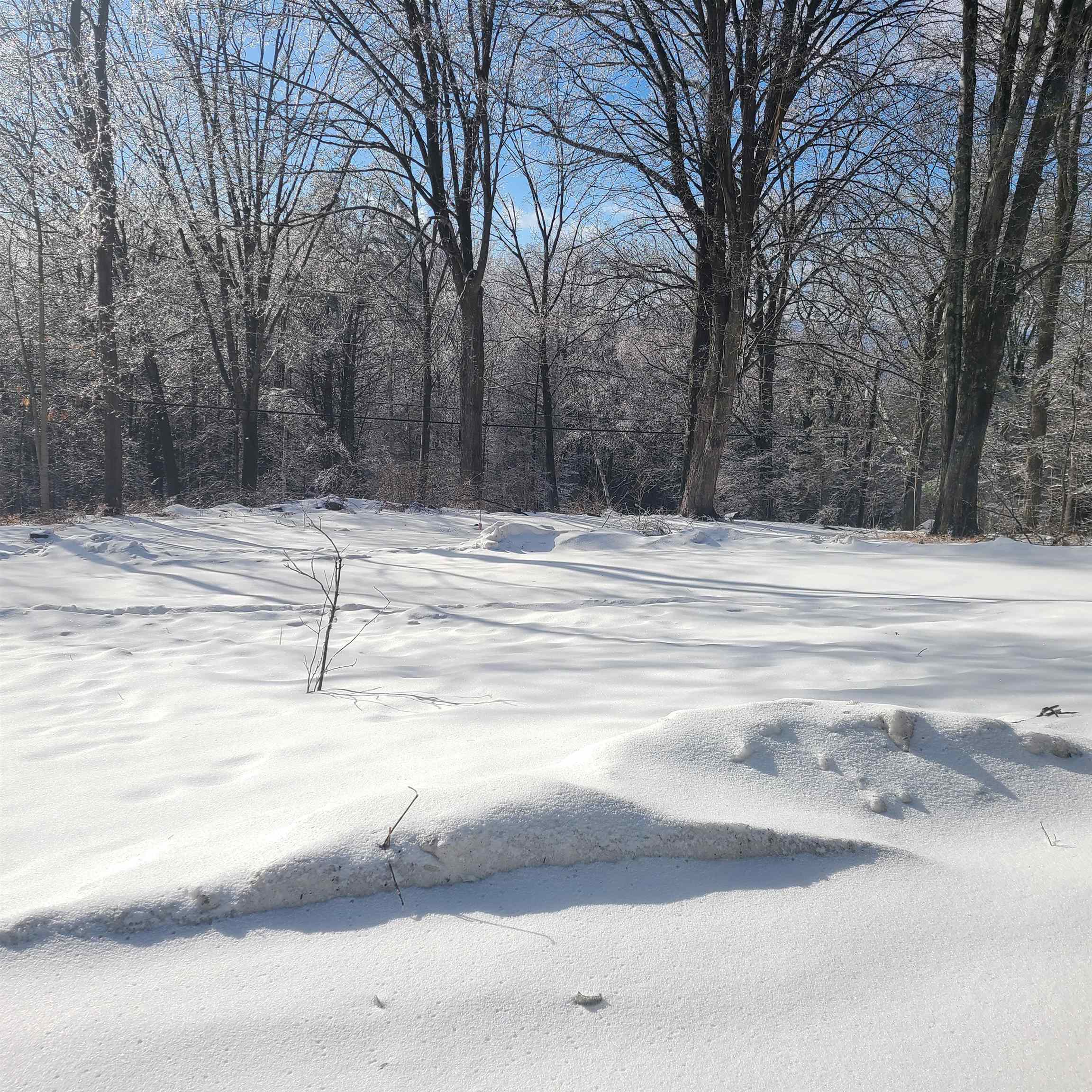 161 Welcome Hill Road Chesterfield, NH 03466 - Photo 4 of 17