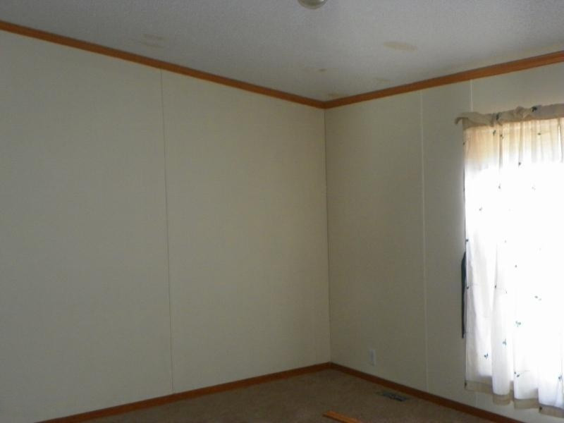 3364 Babylon Road Allegan, MI 49010 - Photo 9 of 10 100_1180 (800x600)